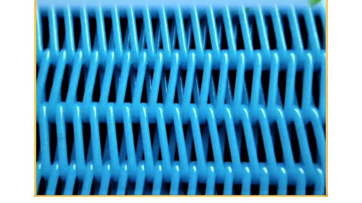 塑料網帶輸送生產廠哪有-耐高溫耐磨損使用壽命長[旭瑞網業]