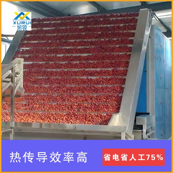 聚酯網輸送帶