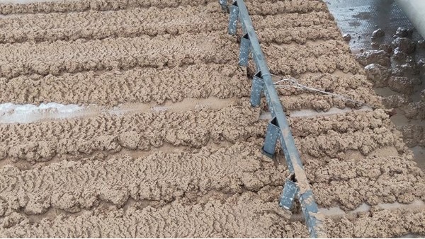 帶式壓濾機濾布老是跑偏打折怎么辦？耐磨、不跑偏濾布【旭瑞網業】